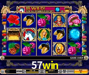 VIP Casino 57win